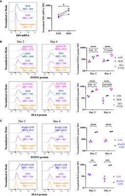 High-Oxygen Submersion Fetal Thymus Organ Cultures Enable FOXN1-Dependent and -Independent Support of T Lymphopoiesis